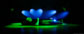 UH_Relax_033a.JPG071